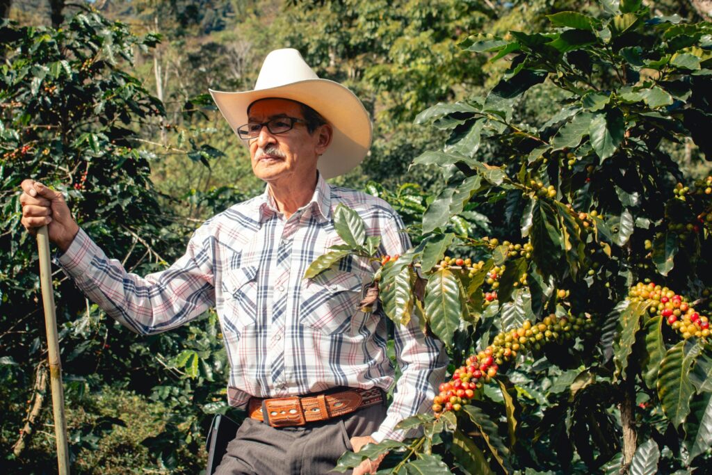guatemalan coffee antigua farms
