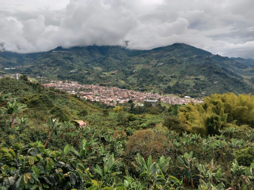 colombian coffee green beans export